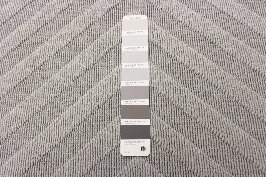 Dodie Grey 3'11" x 5'7" Area Rug|Carpette Dodie grise 3 pi 11 po x 5 pi 7 po|D86FE369