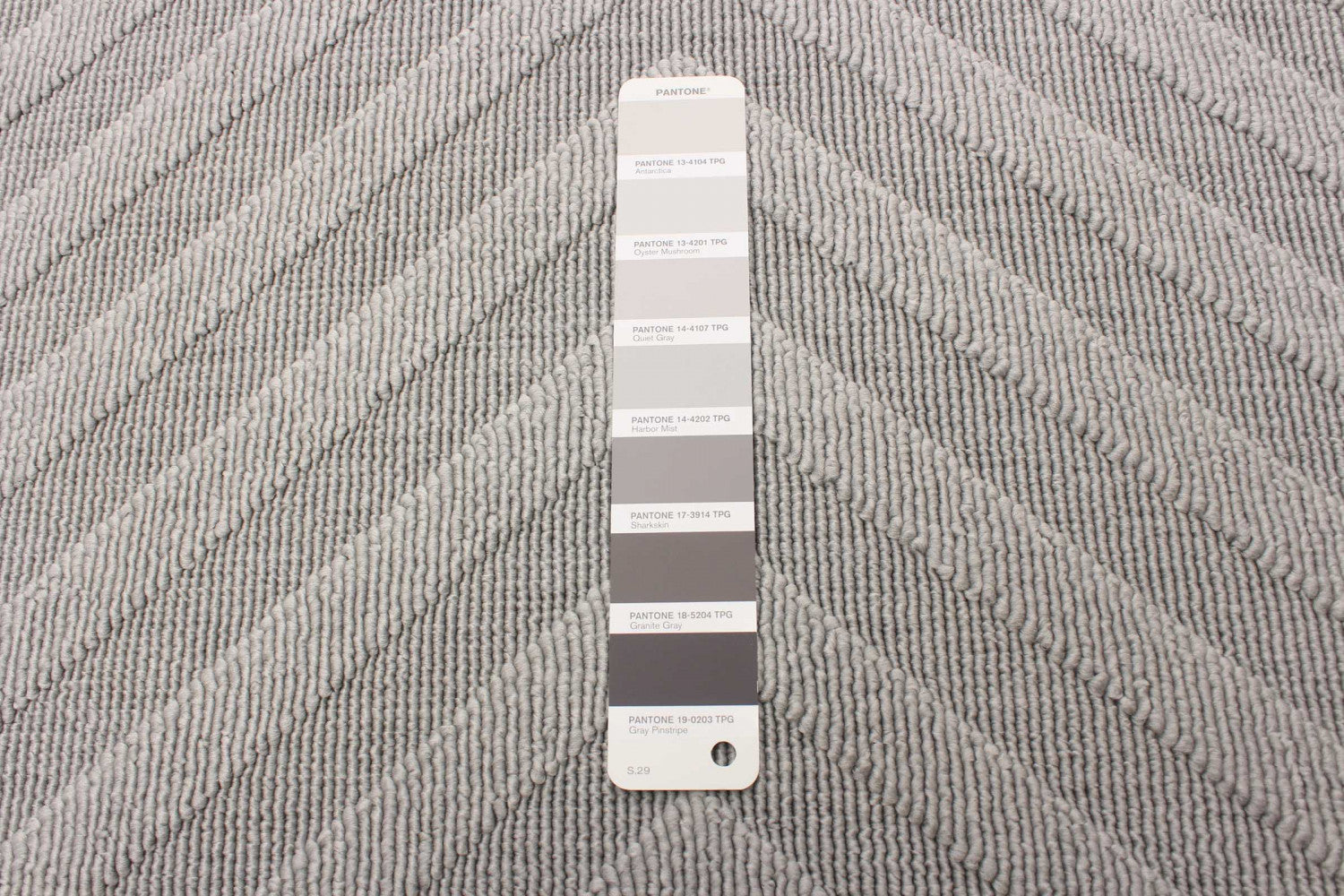 Dodie Grey 3'11" x 5'7" Area Rug|Carpette Dodie grise 3 pi 11 po x 5 pi 7 po|D86FE369